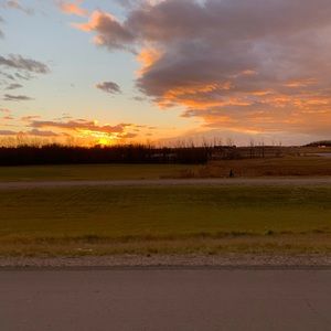 Meet your Posher, Cora